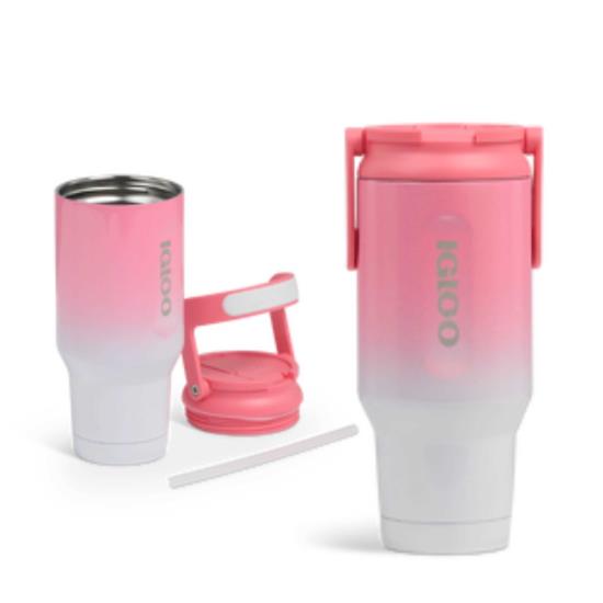 71803 ROSE DÉGRADÉ