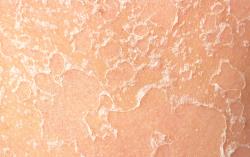 shutterstock_2220526927