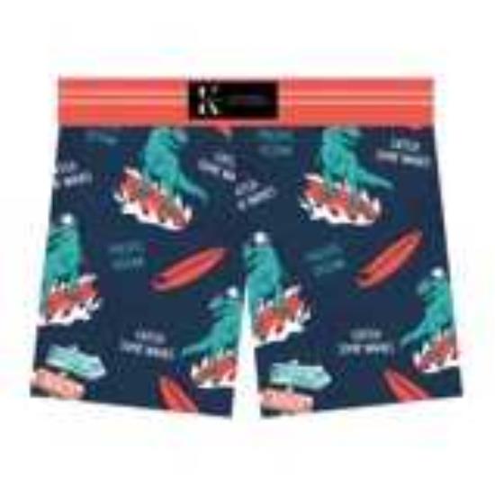 dino surf - Copie (3)